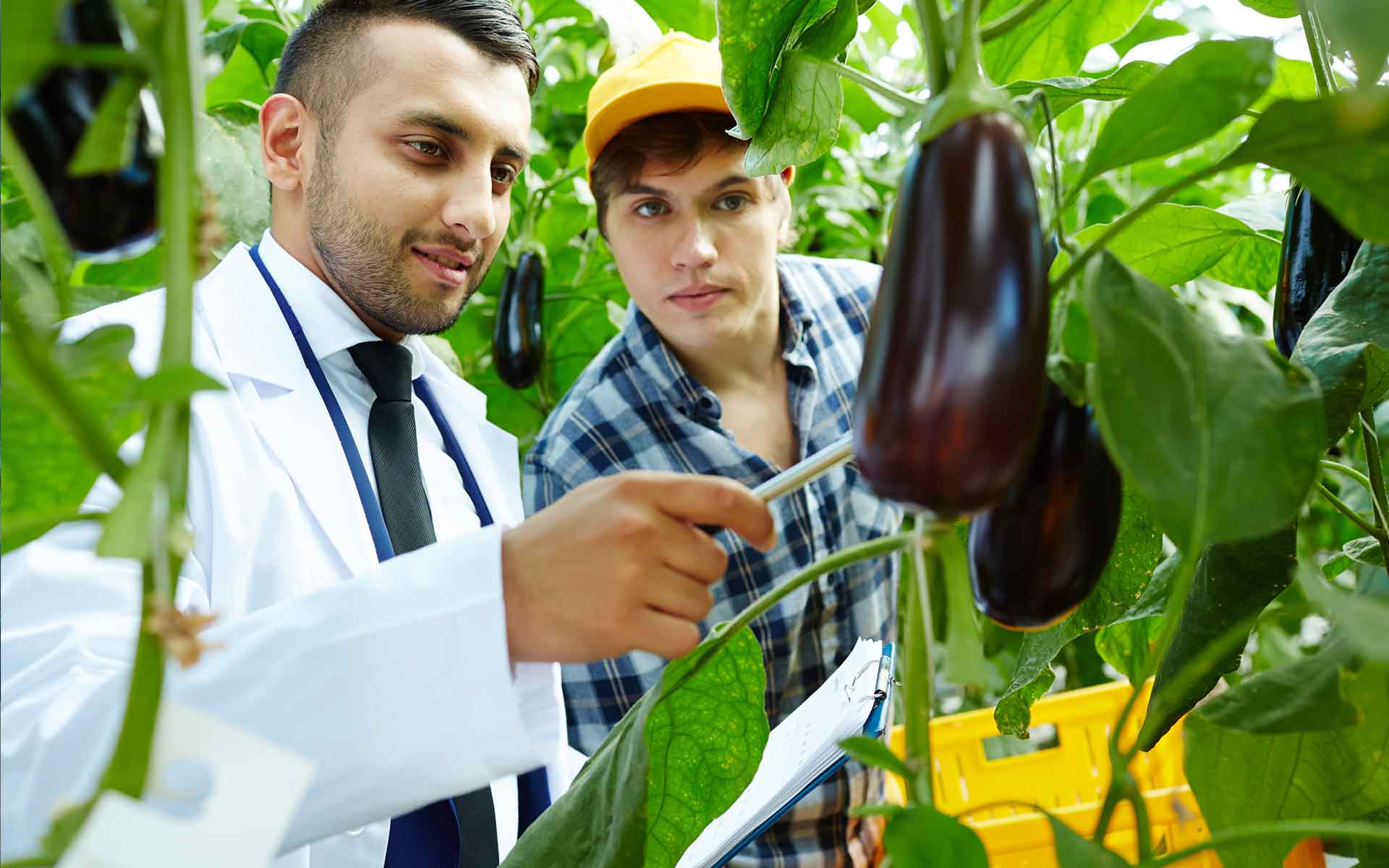 Overseas Education Consultants For Agriculture courses in abroad
